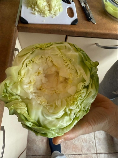 Kopūstas su išpjautu kotu