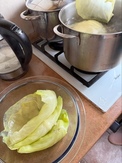 Nuimti kopūsto lapai